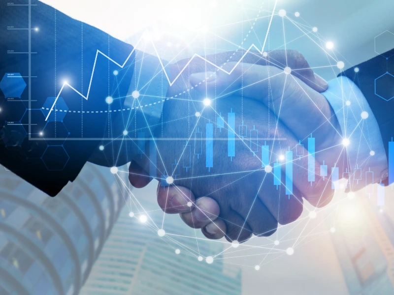 Large Deal & Bid Advisory